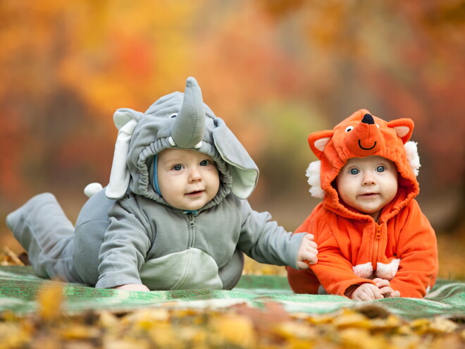 Sociabilización del niño: la importancia de una mascota