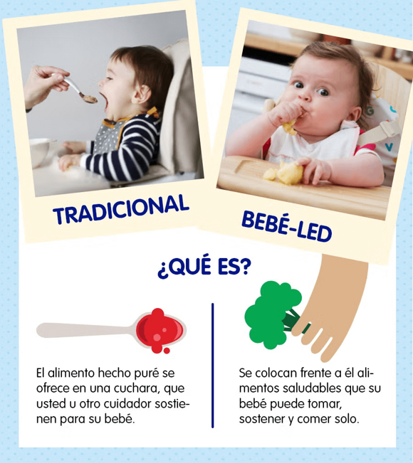 Infografía: destete tradicional y dirigido por bebes